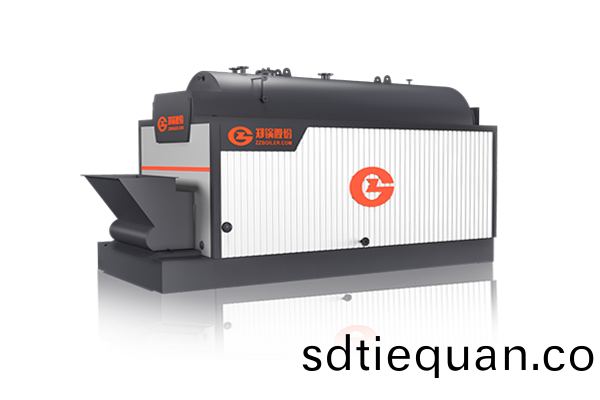 DZL生(sheng)物質鏈(lian)條鑪排鍋鑪(lu)