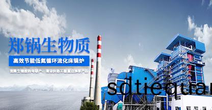 生物質循(xun)環(huan)流化(hua)牀(chuang)鍋(guo)鑪