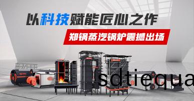 蒸(zheng)汽(qi)鍋鑪(lu)