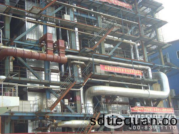 75噸(dun)生(sheng)物質(zhi)鍋(guo)鑪(lu)