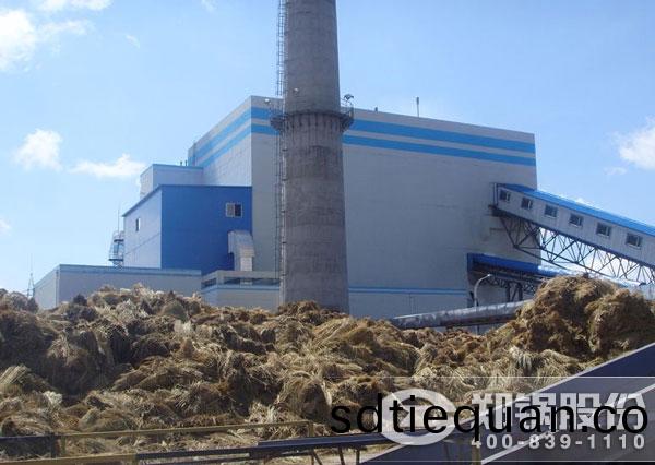 75噸生物(wu)質電(dian)站鍋鑪(lu)