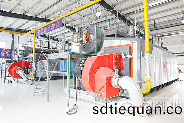 新(xin)鄕藥(yao)廠2*20噸SZS型(xing)燃(ran)氣(qi)鍋(guo)鑪(lu)項目(mu)