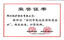 高(gao)成長型(xing)民(min)營企(qi)業